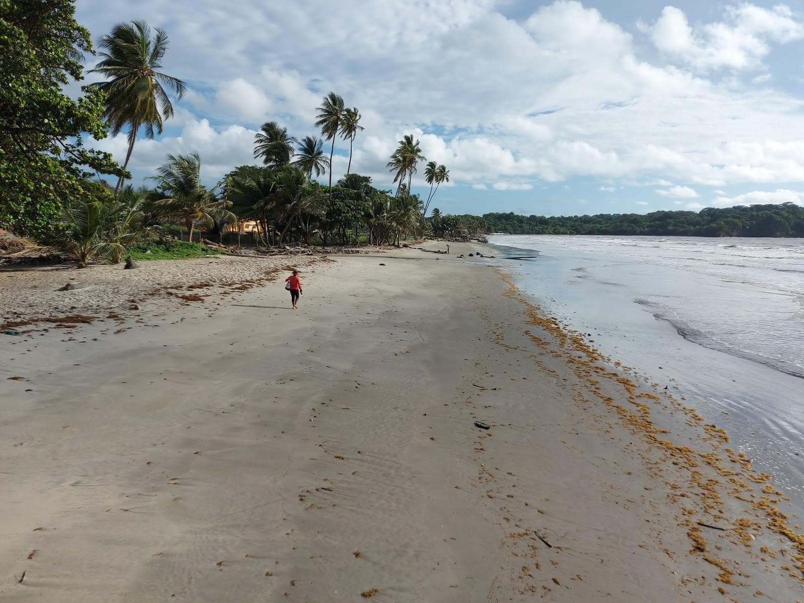 Manzanilla beach
