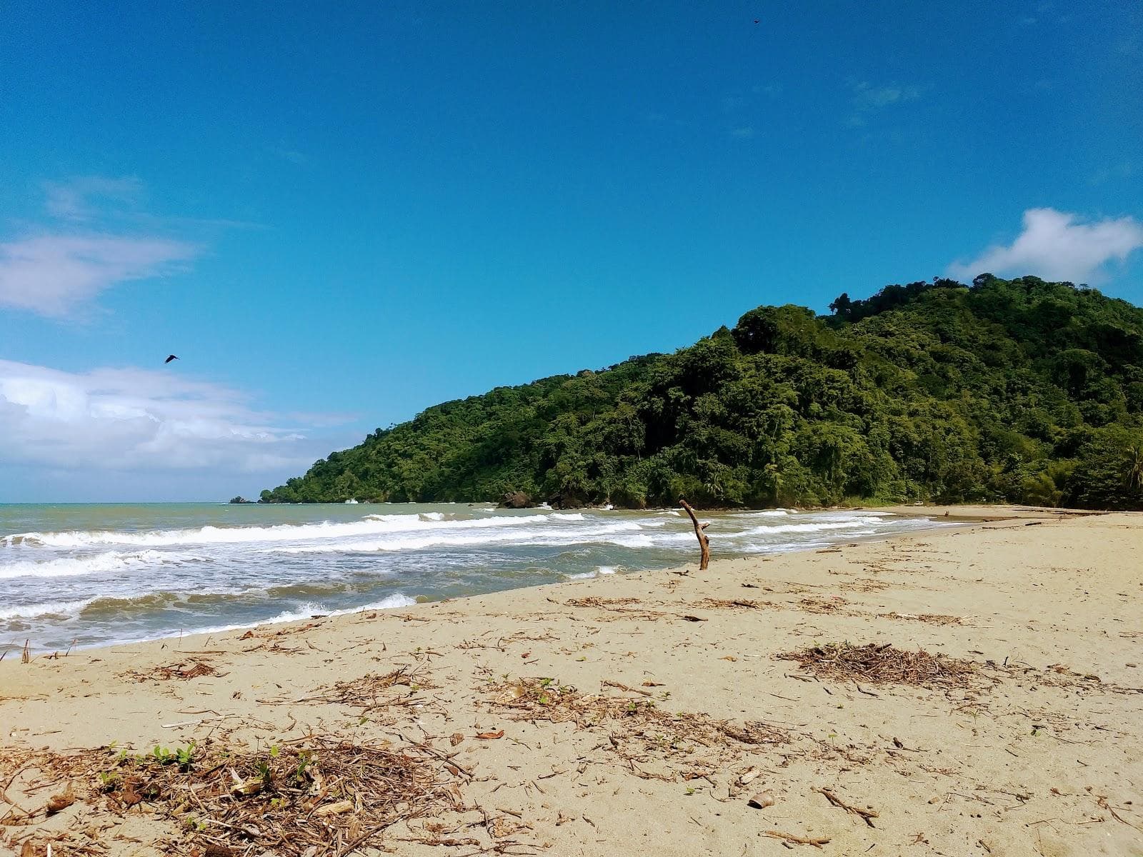 Grand Riviere beach