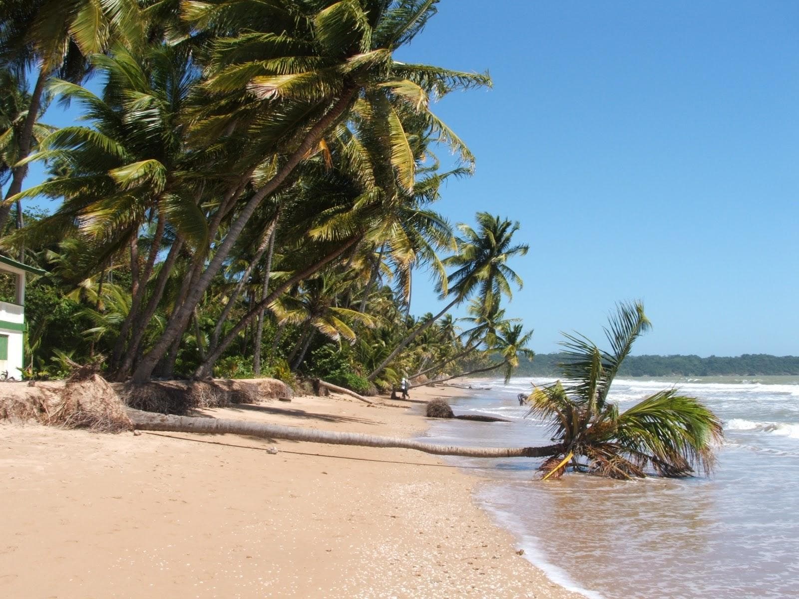Mayaro beach
