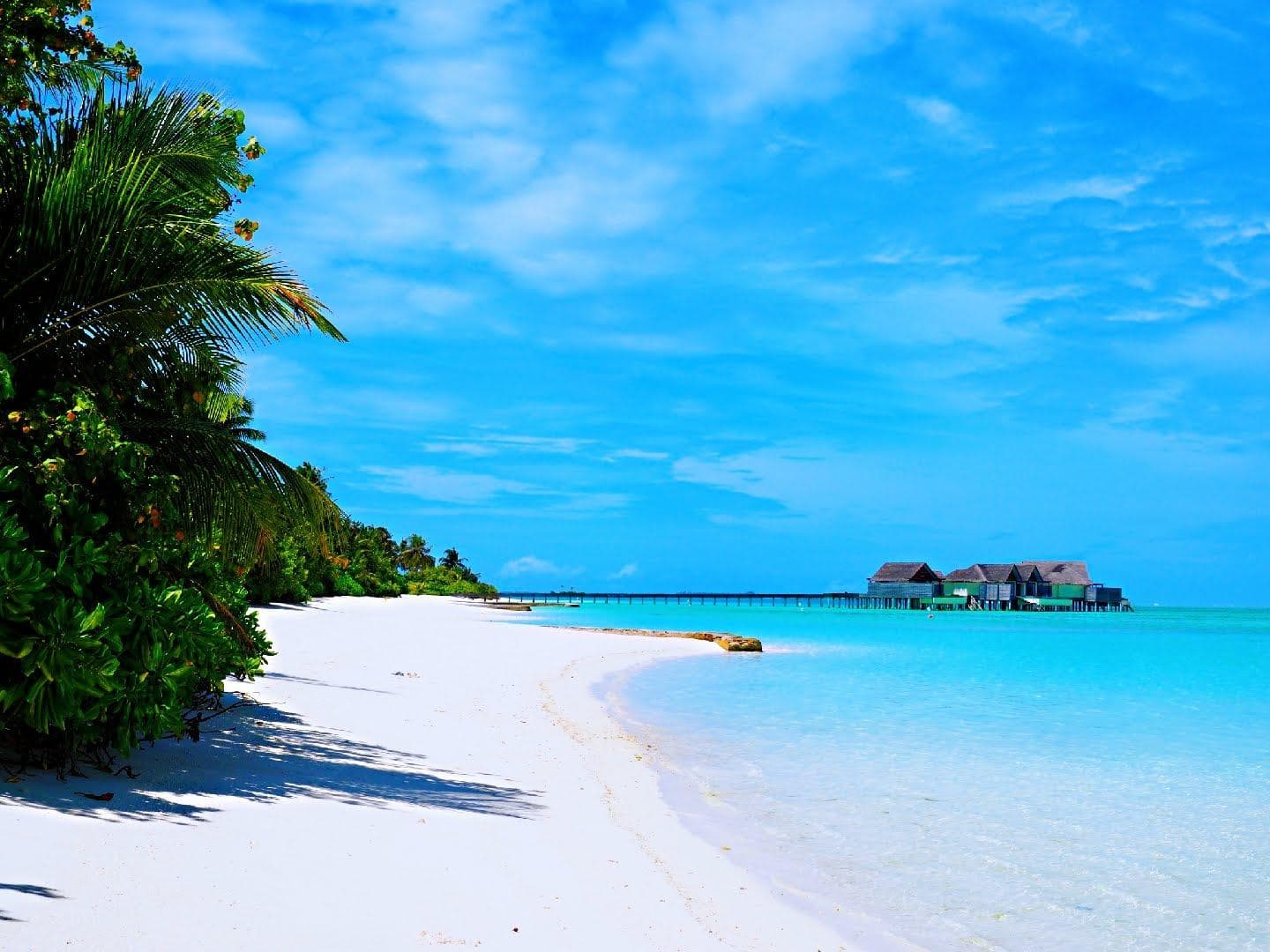 Niyama Resort Beach