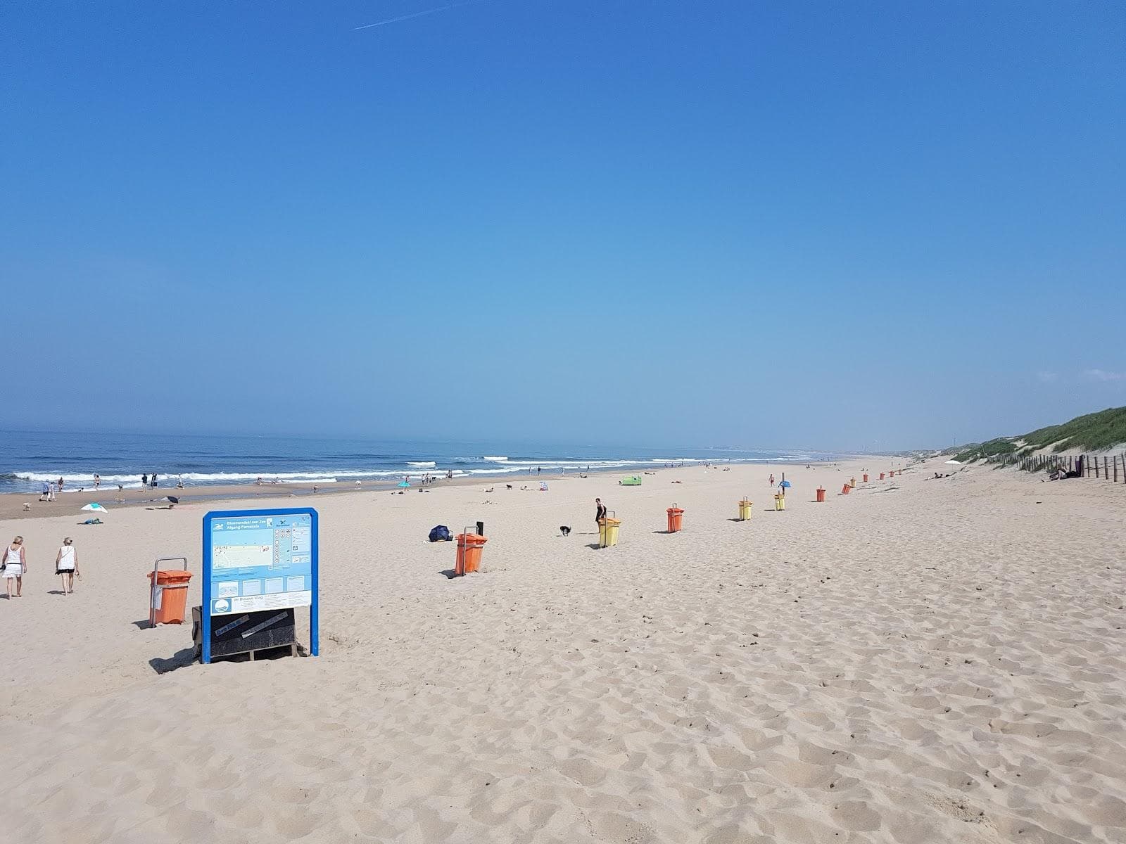Parnassia aan Zee