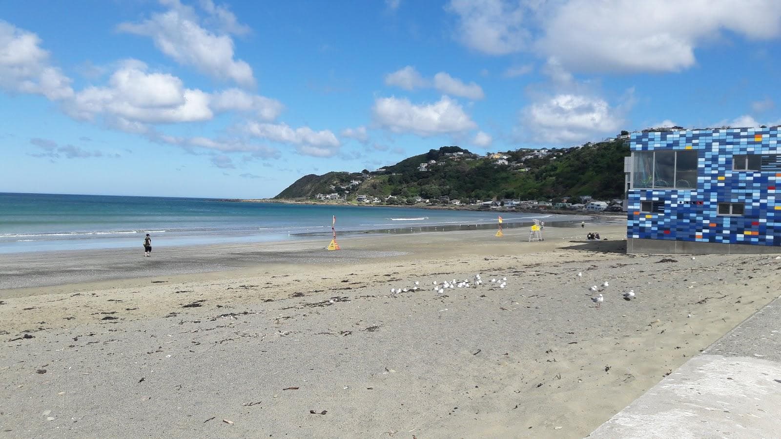 Lyall Bay