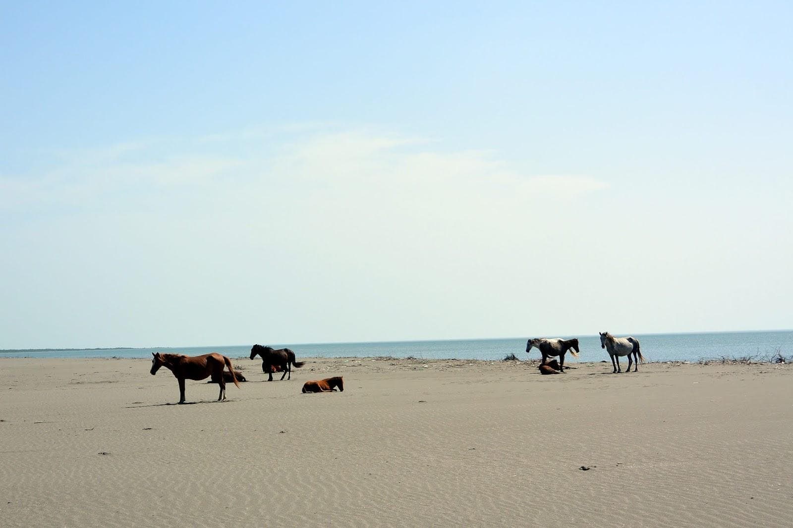 Kulevi beach