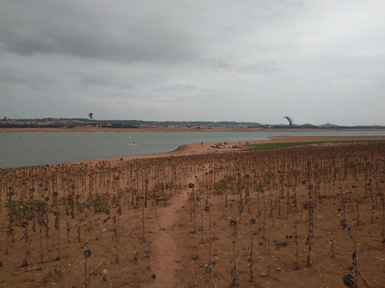 Playa Olivares