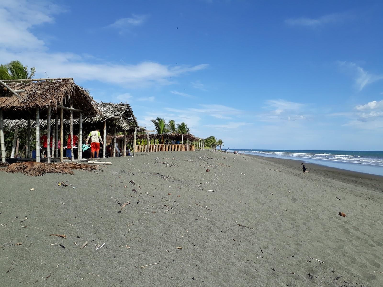 Playa De Los Olivos