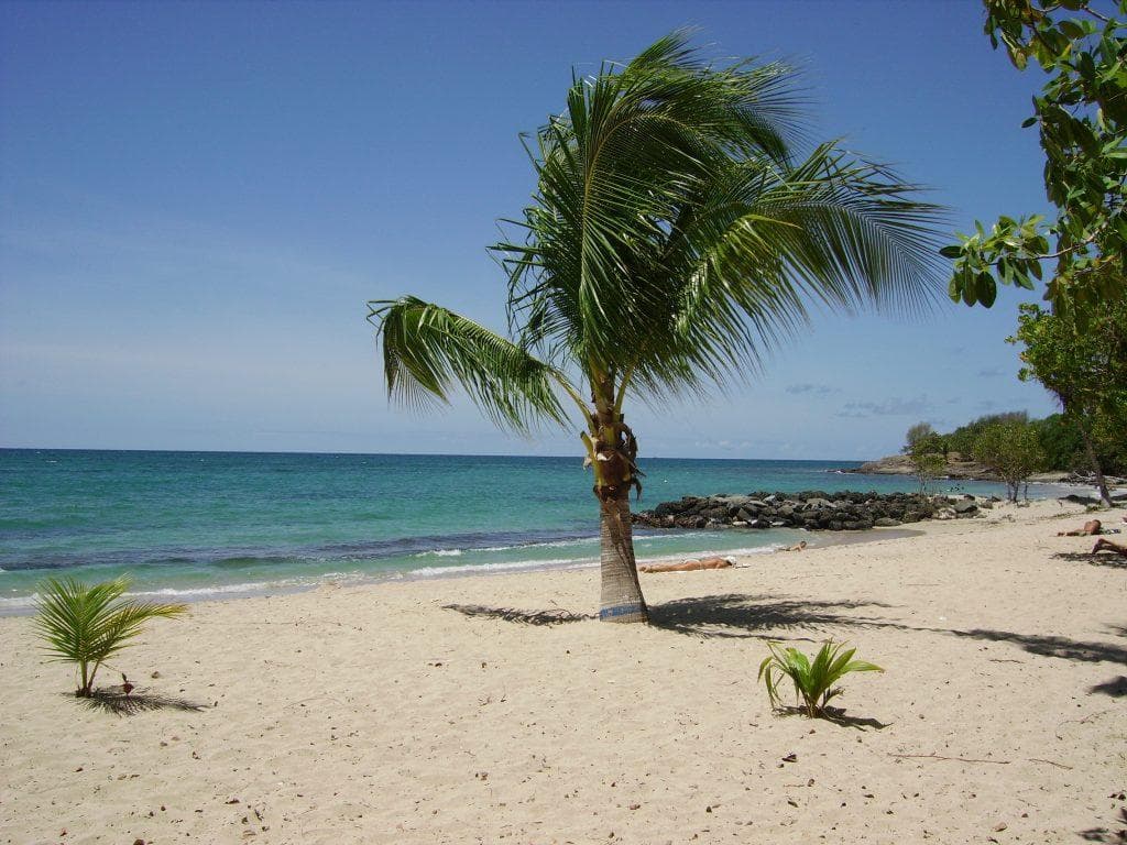 Gros raisins beach