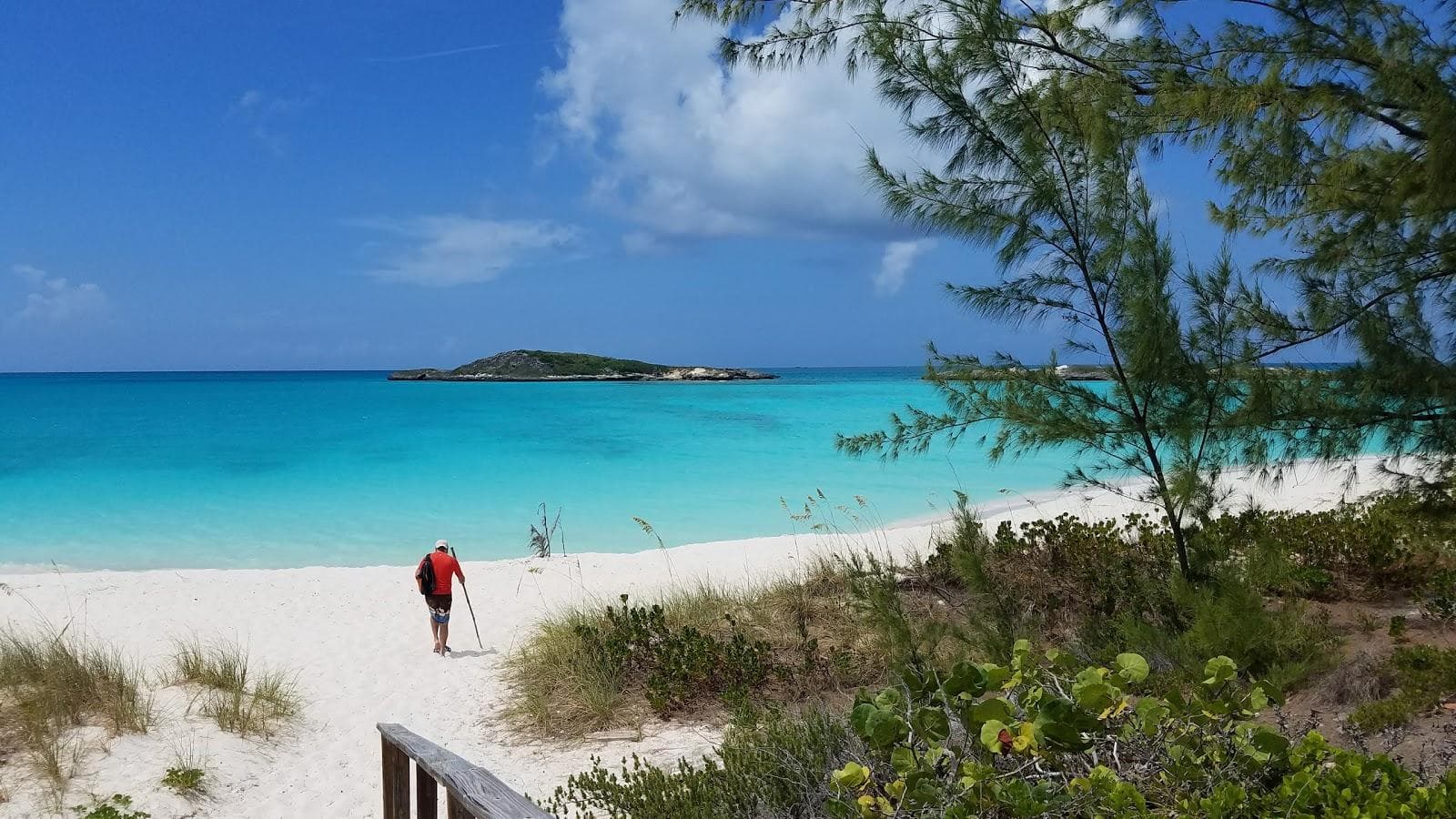 Pelican beach