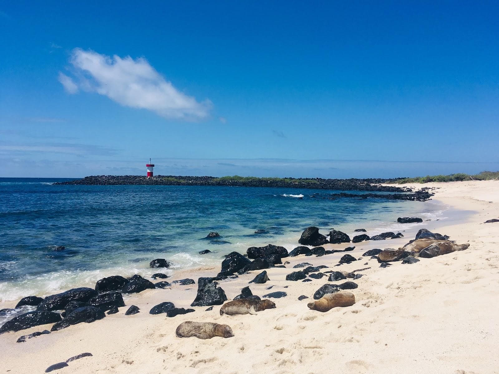 Point Carola Beach