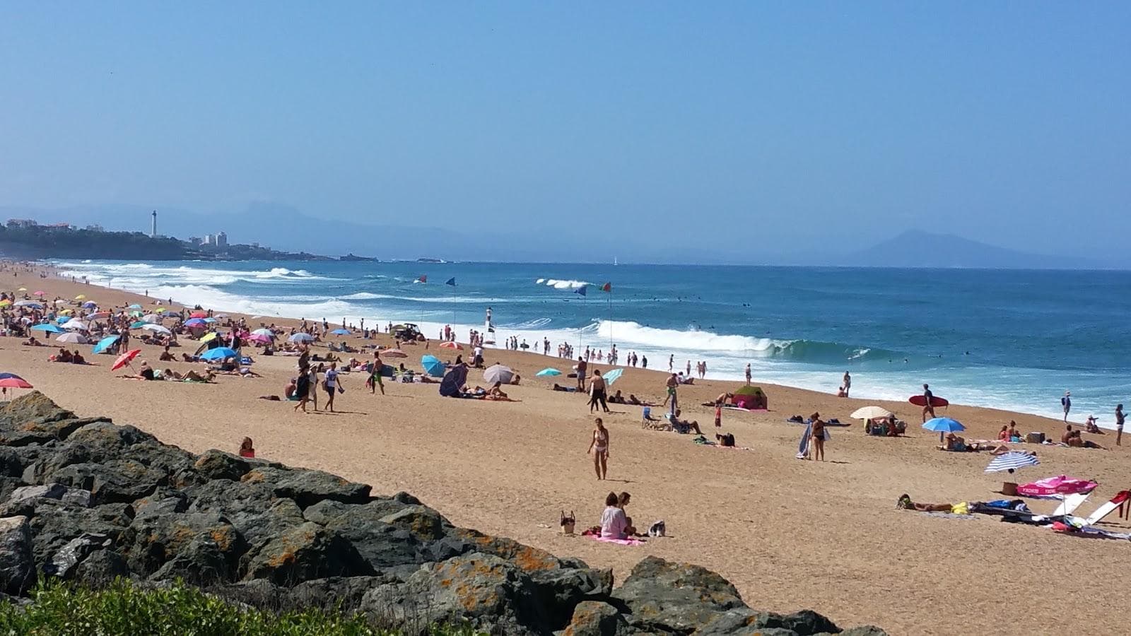 Cavalier Beach