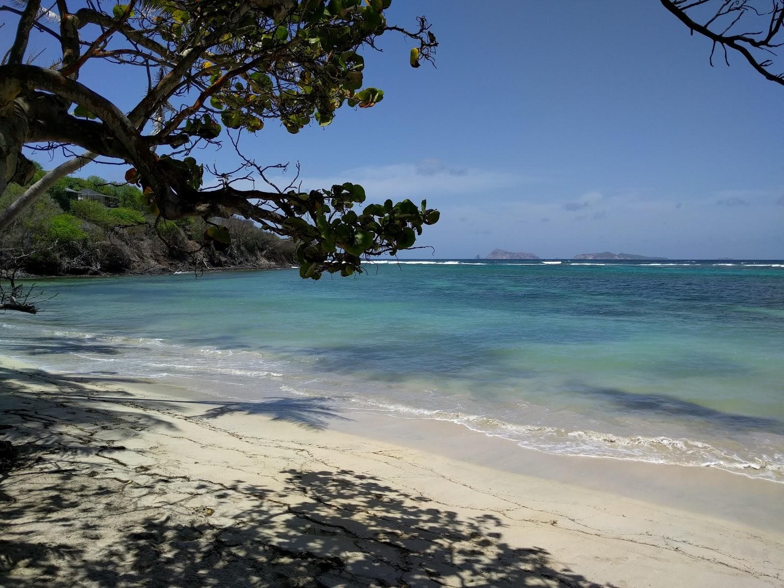 Sugar Reef beach