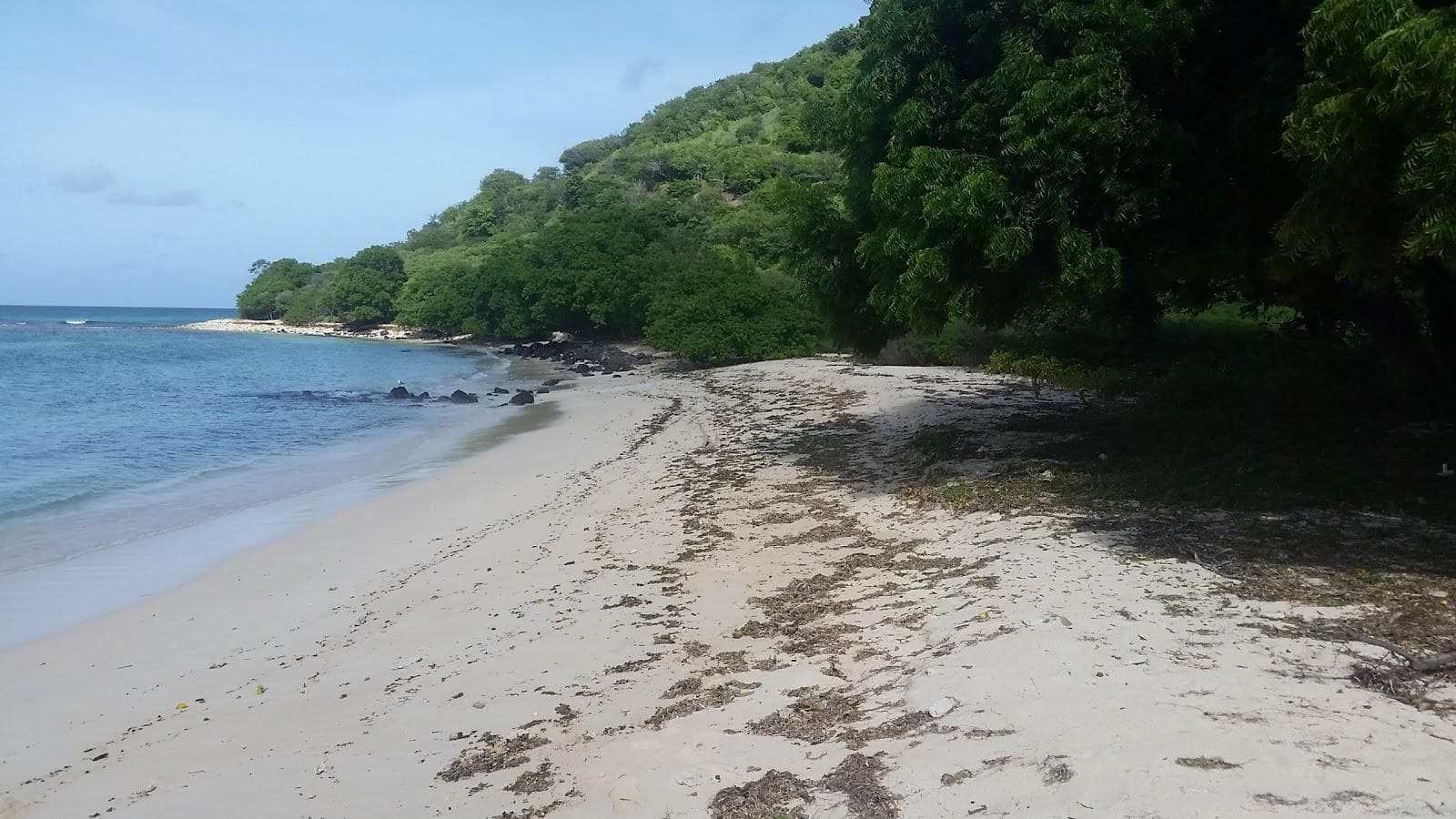 Cambel path beach