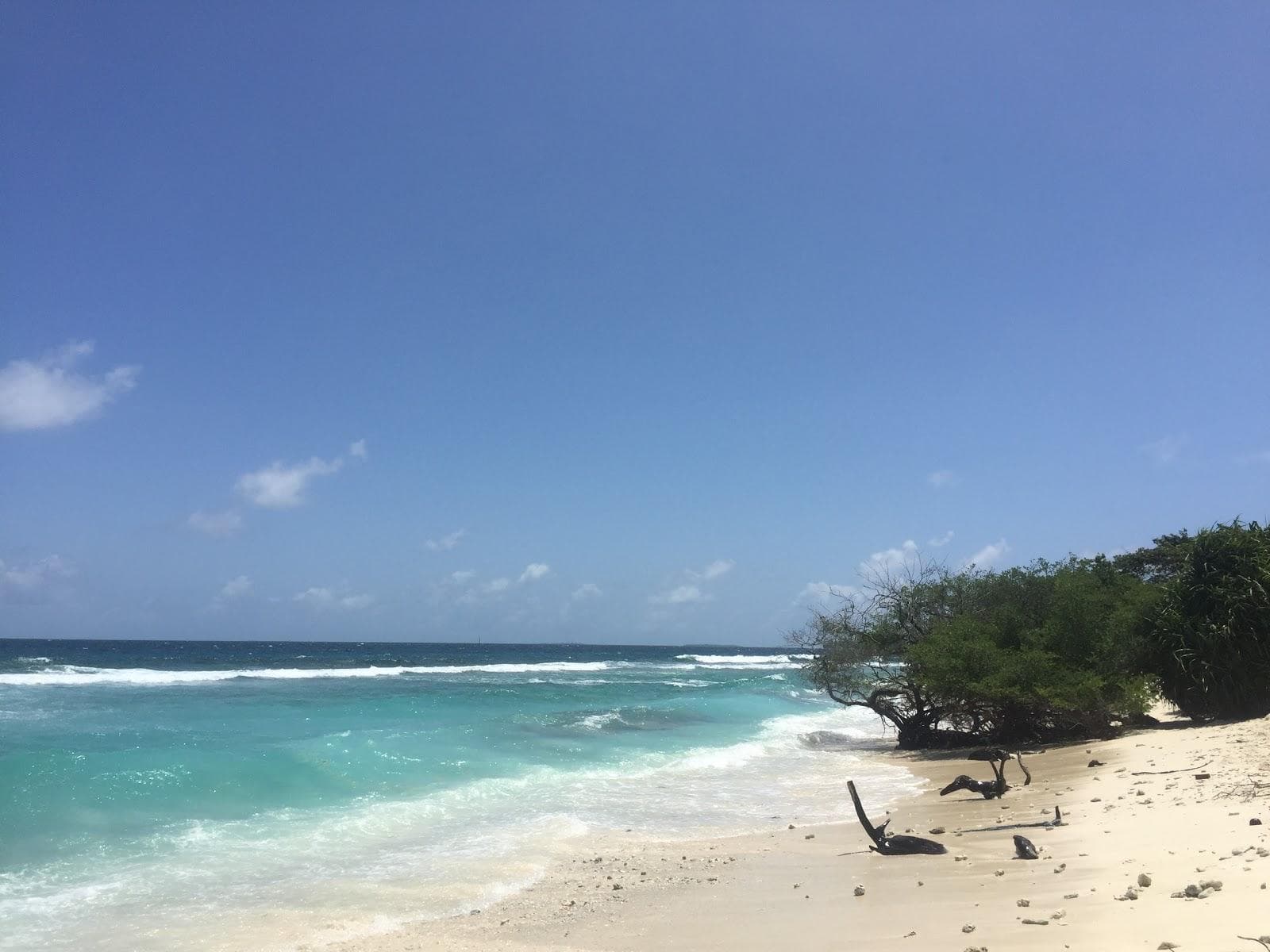 Bandaha Magu