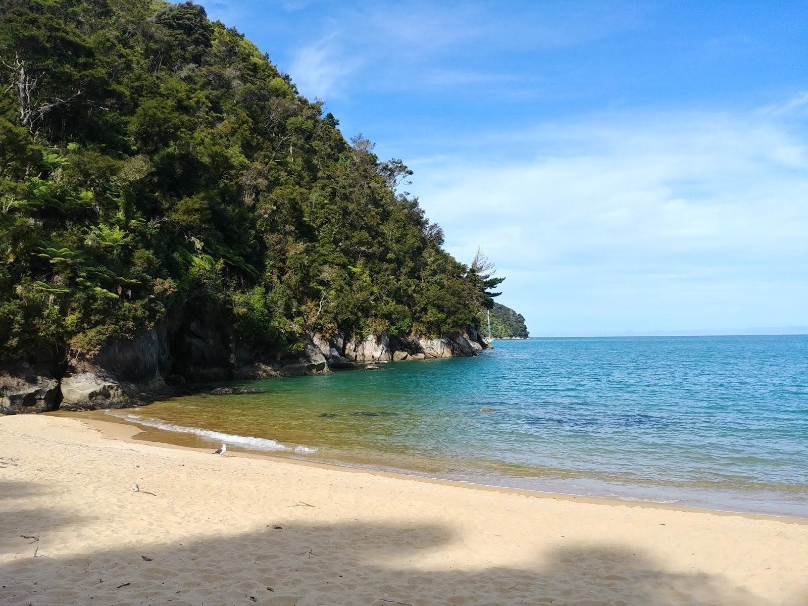 Observation Beach