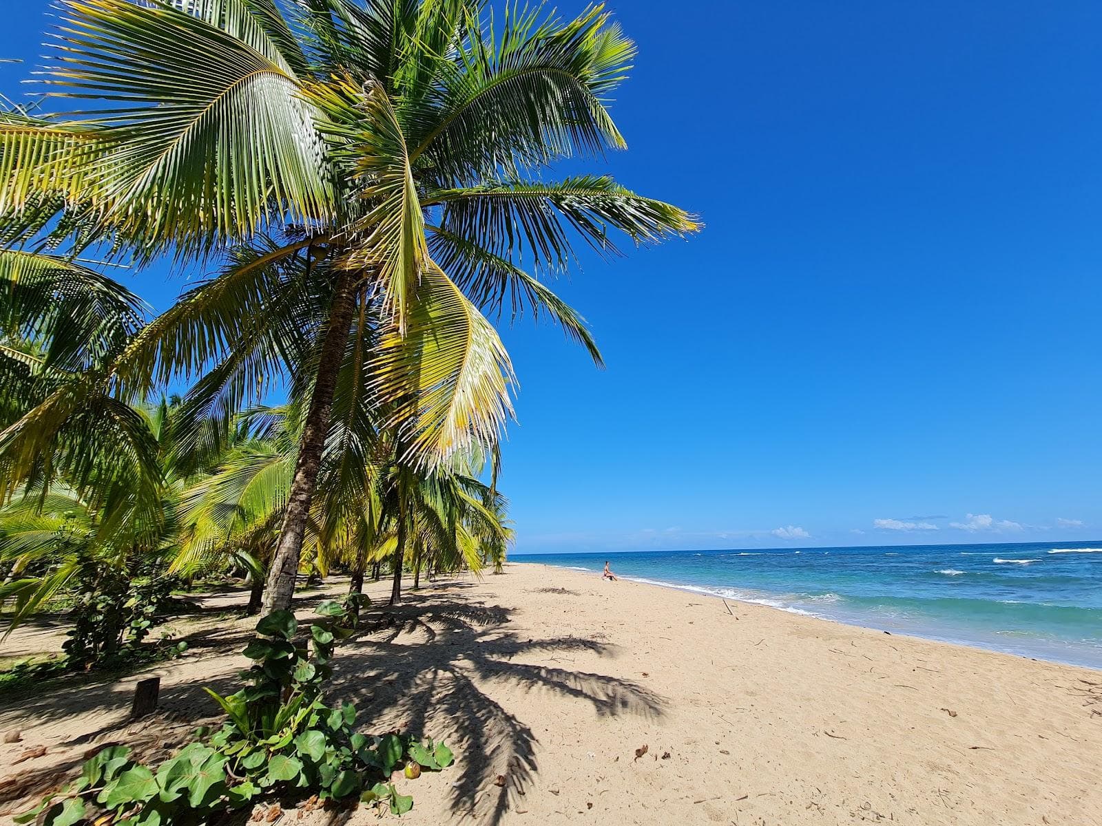 Punta Uva II beach