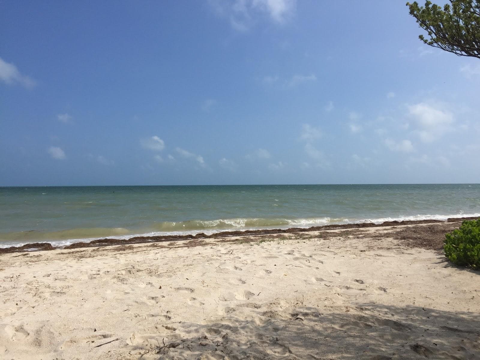 Playa San Crisanto