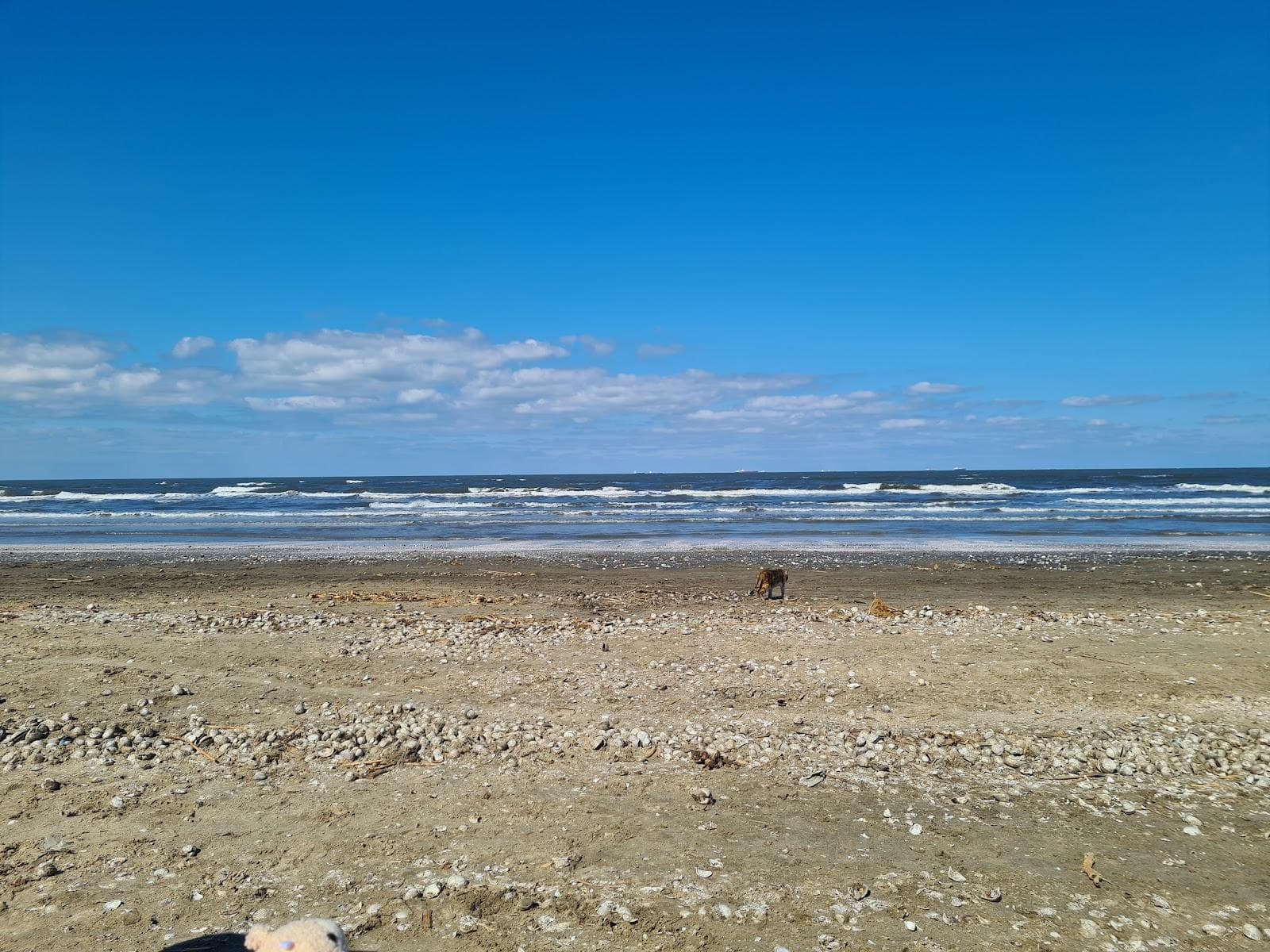 El Fayrouz Village Beach