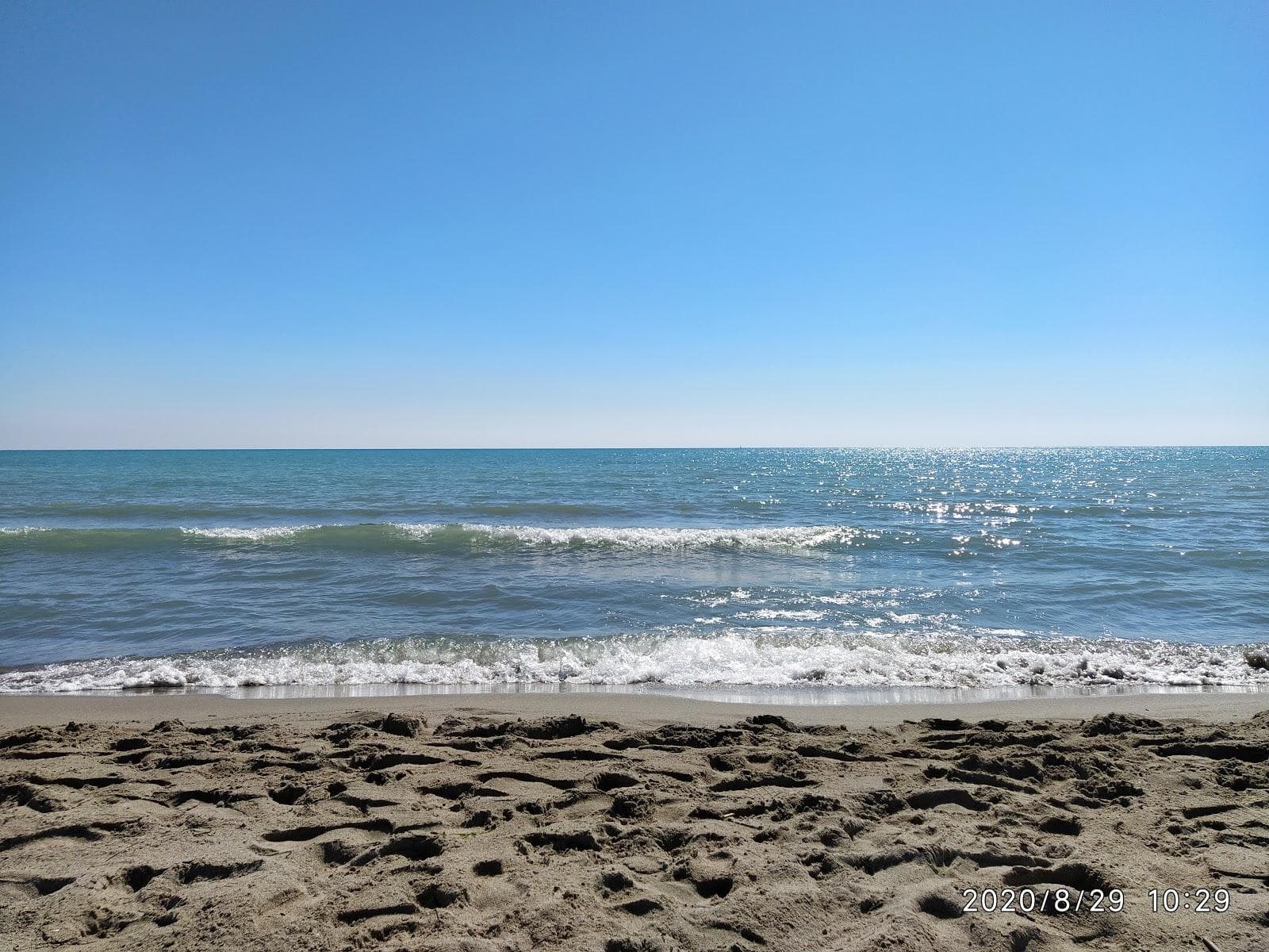 Bufaloria beach