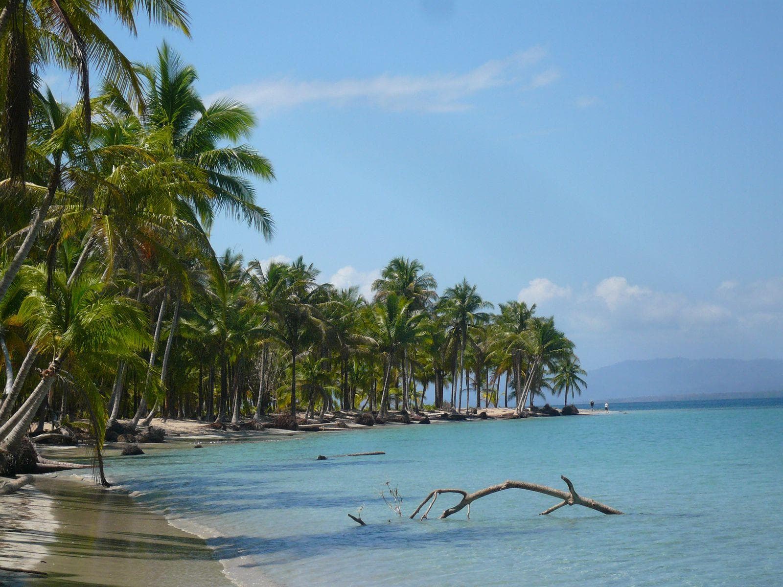 Tauren Beach