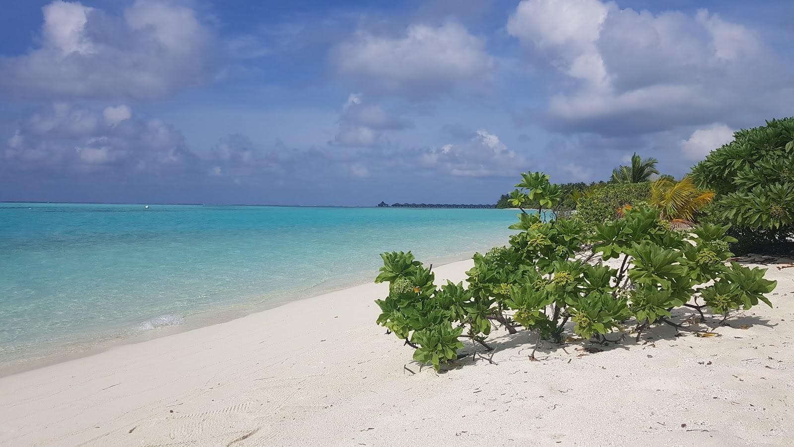 Beach Boongalo
