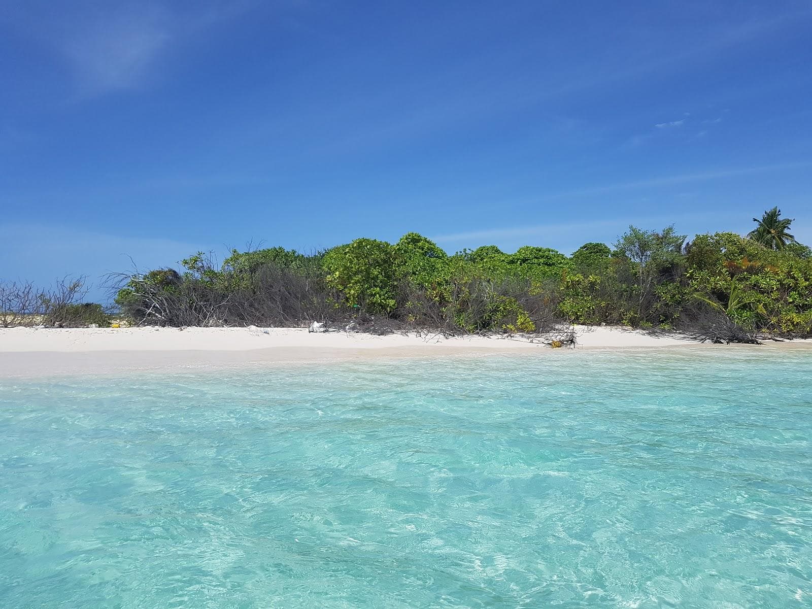 Bodukaashihuraa