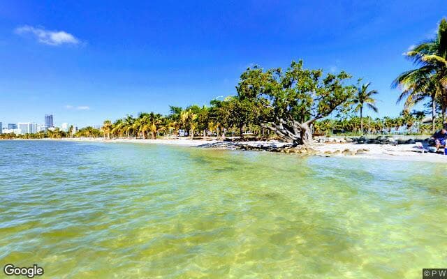 Dog Beach (Rickenbacker Causeway Beach)