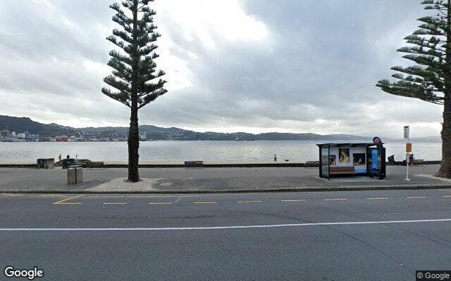 Oriental Bay at Freyberg Beach