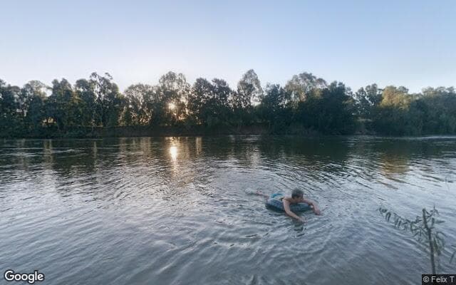 Pine Island - Murrumbidgee River