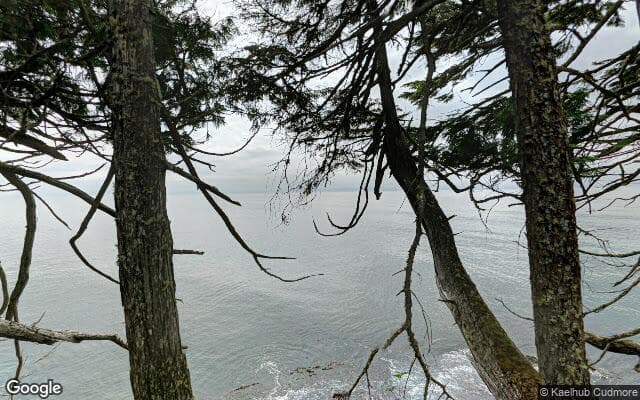 Port Renfrew (Gordon River)