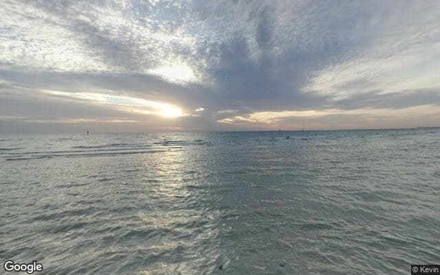 Carrum