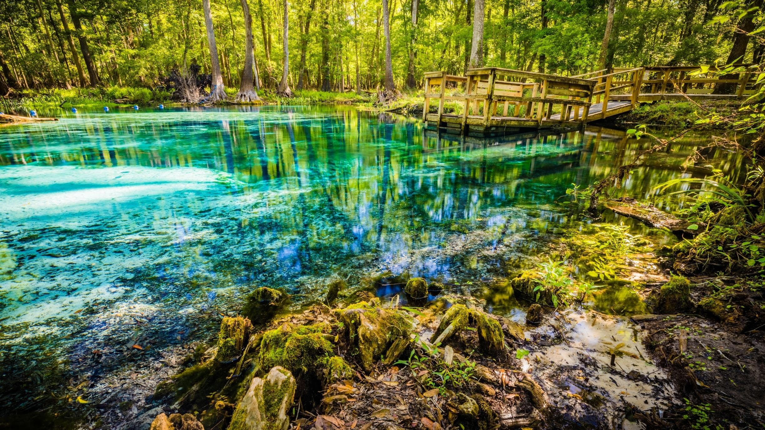 Blue Springs State Park