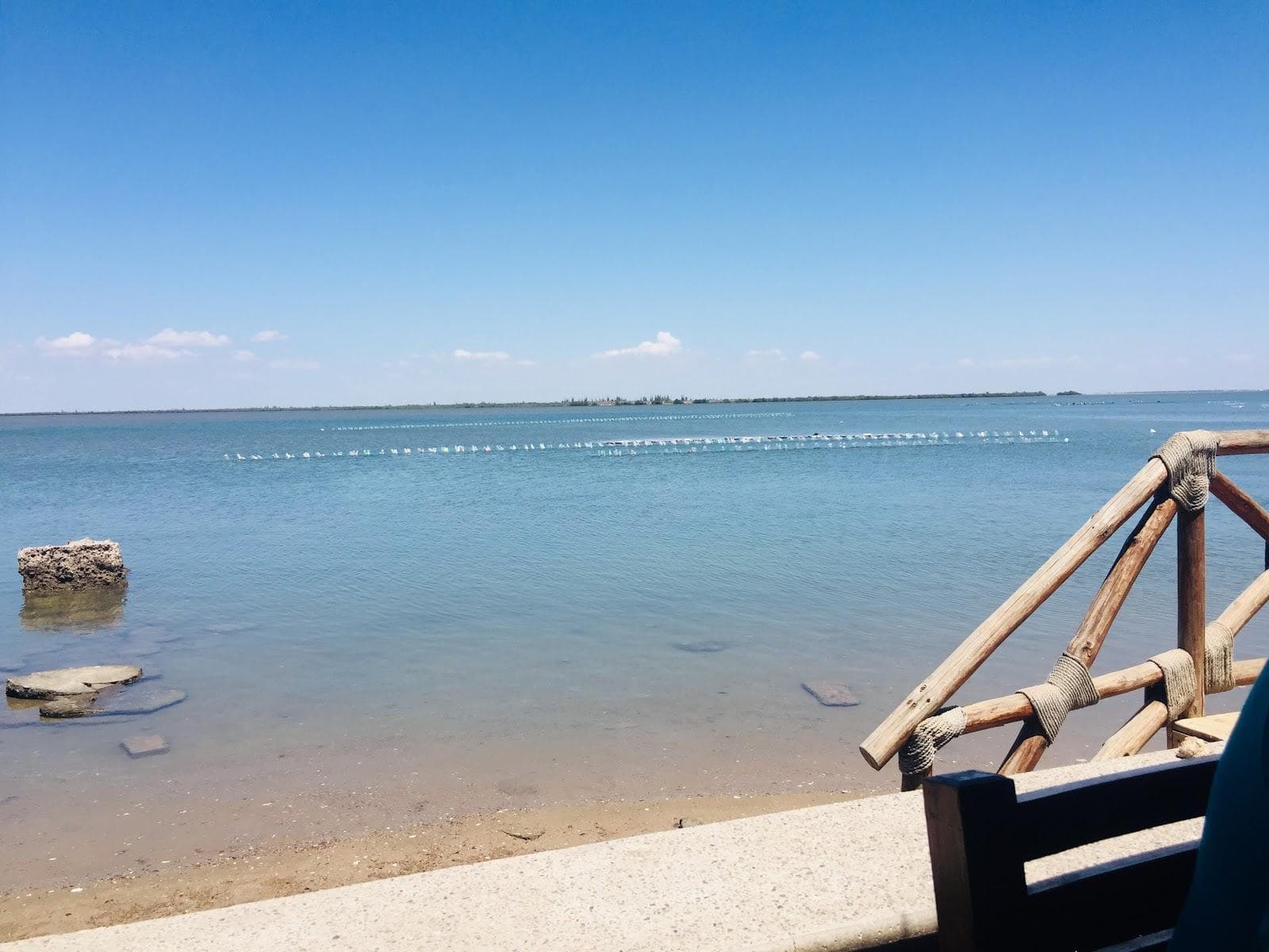 Estero las jaibas