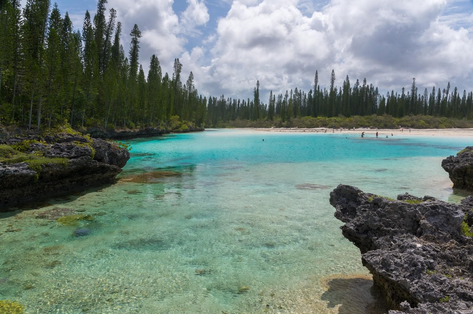 Oro Natural Pool