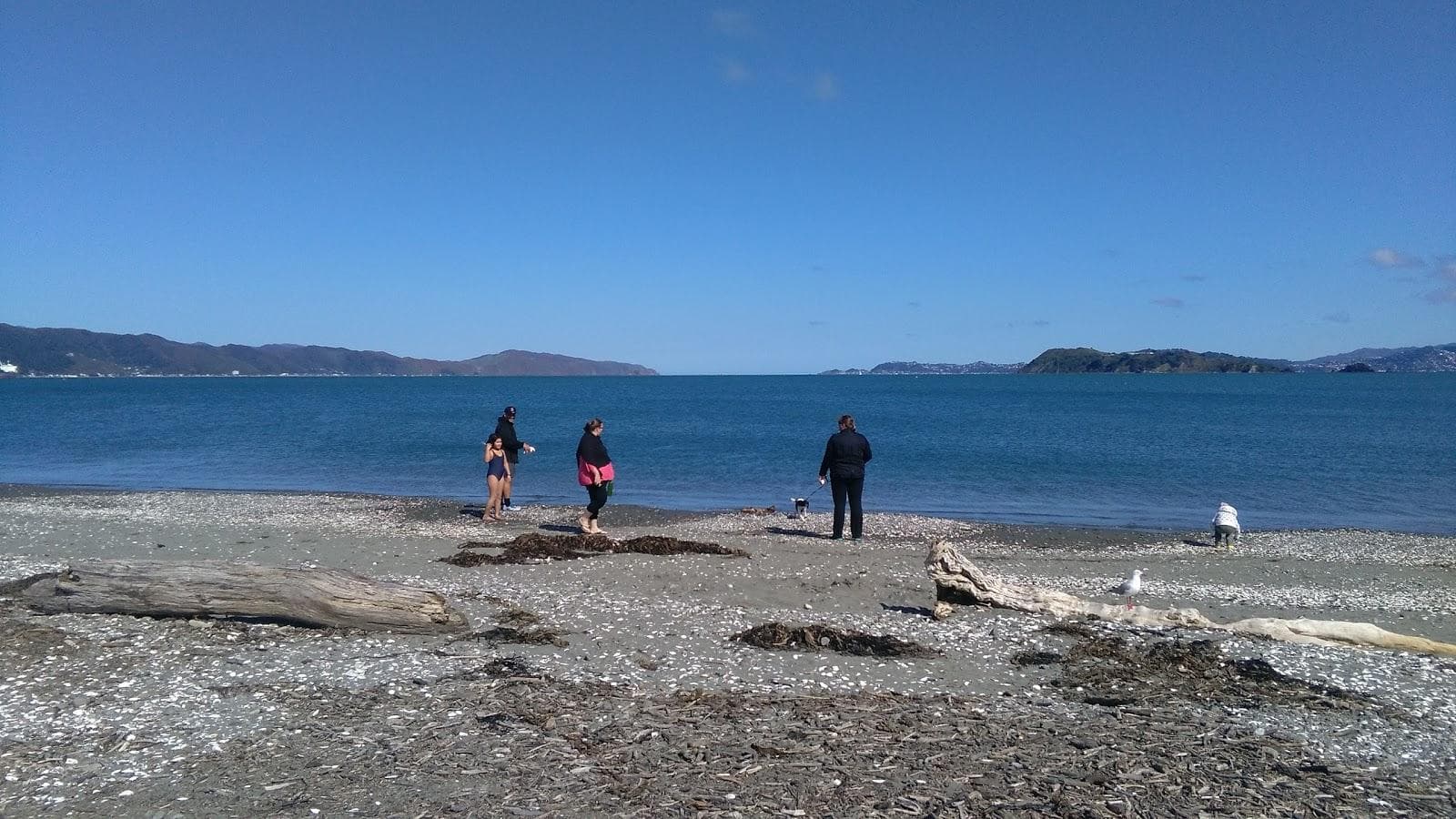 Petone Beach